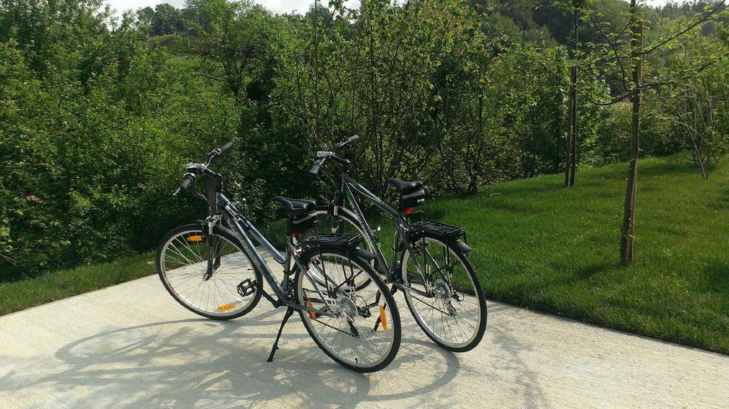 Ortenia Apartments In Nature Подчетртек Номер фото